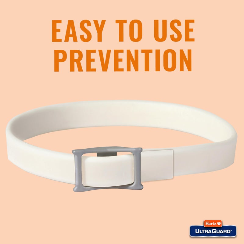 Hartz Ultraguard Flea And Tick Collar For Dogs And Puppies 7 Month Flea And Tick Protection And Prevention Per Collar White Up To 20 Inch Neck - Image 4