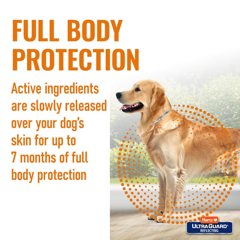 Hartz Ultraguard Flea And Tick Collar For Dogs And Puppies 7 Month Flea And Tick Protection And Prevention Per Collar White Up To 20 Inch Neck - Image 5