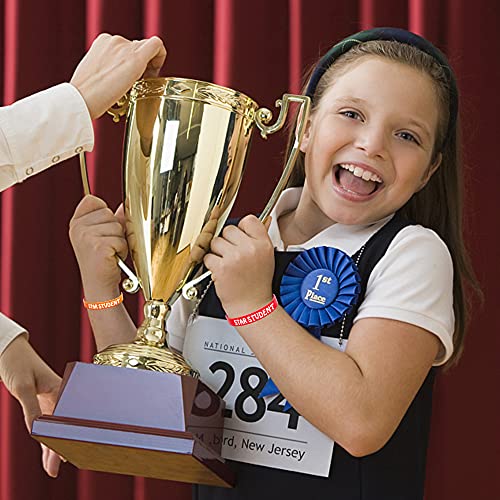Wehhbtye 48PCS Star Student Wristbands-8 Color Star Student Silicone Bracelets, rubber Bracelets for Student Rewards School Classroom Teacher Recognition Award, Education Activities - Image 4