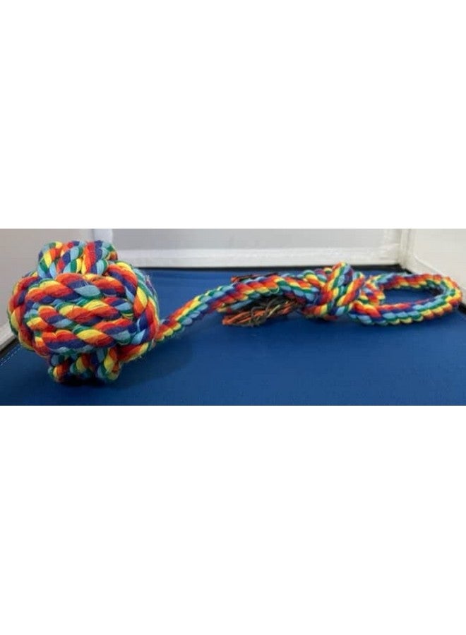 Dog Chew Toys, Set of 4 Dog Rope Toys for Aggressive Chewers, Dog Toys with Safe Material, for Playtime and Teeth Cleaning - Image 5