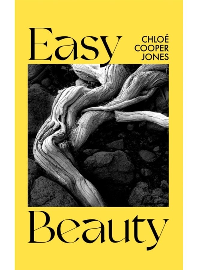 Easy Beauty On Seeing and Being Seen - Paperback