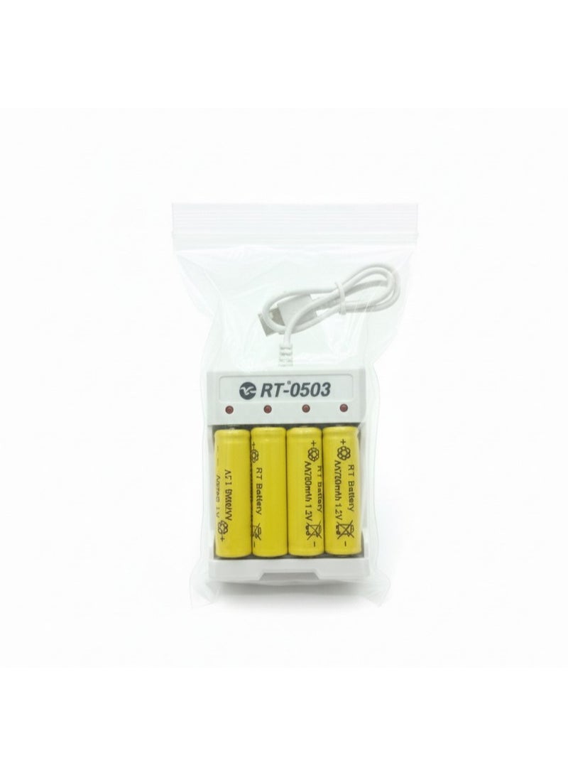 Rechargeable Battery Pack with Charger