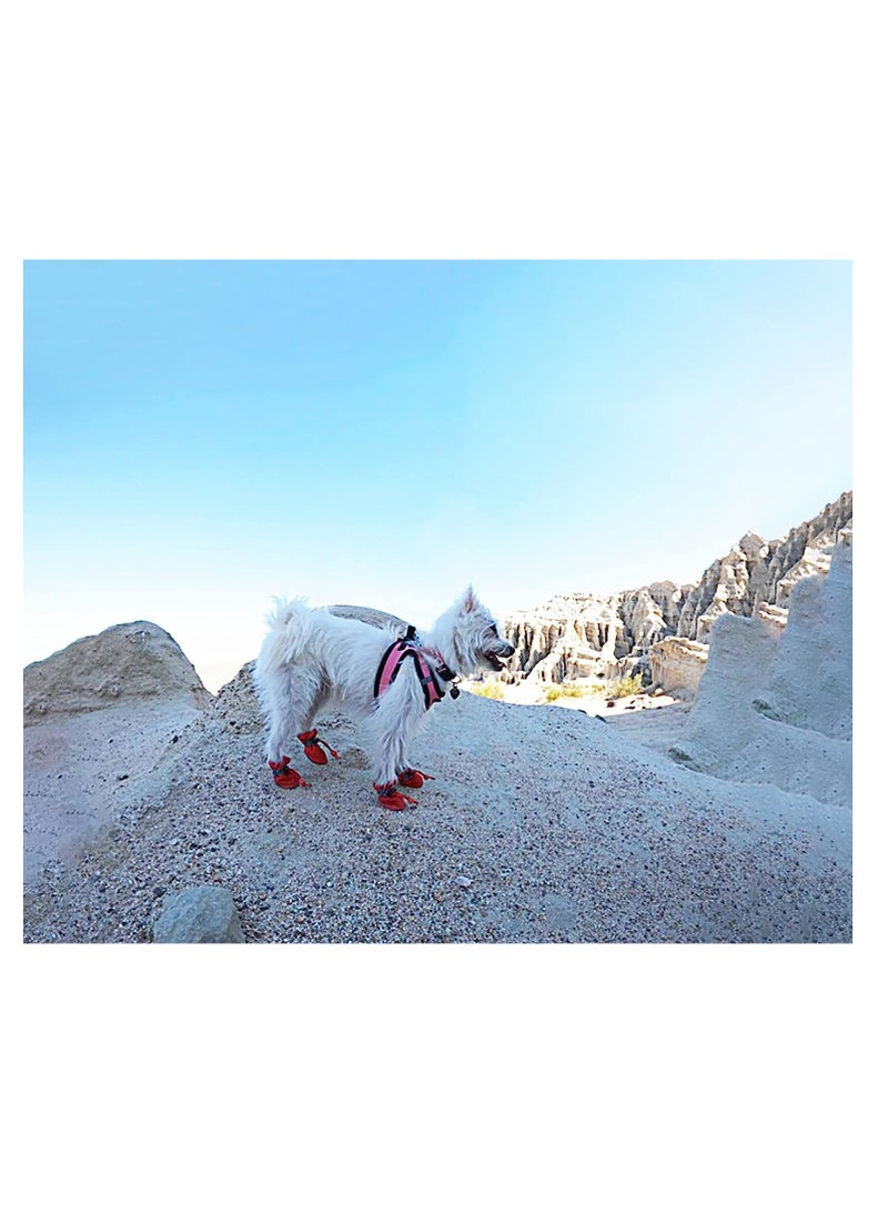 KASTWAVE 2 Pack Dog Shoes for Small Dogs, Anti-Slip Dogs Boots Paw Protector for Winter Snowy Day, Summer Hot Pavement Dog Booties with Reflective Straps, Cat Dog Shoe for Indoor Hardfloors (Red) - Image 3