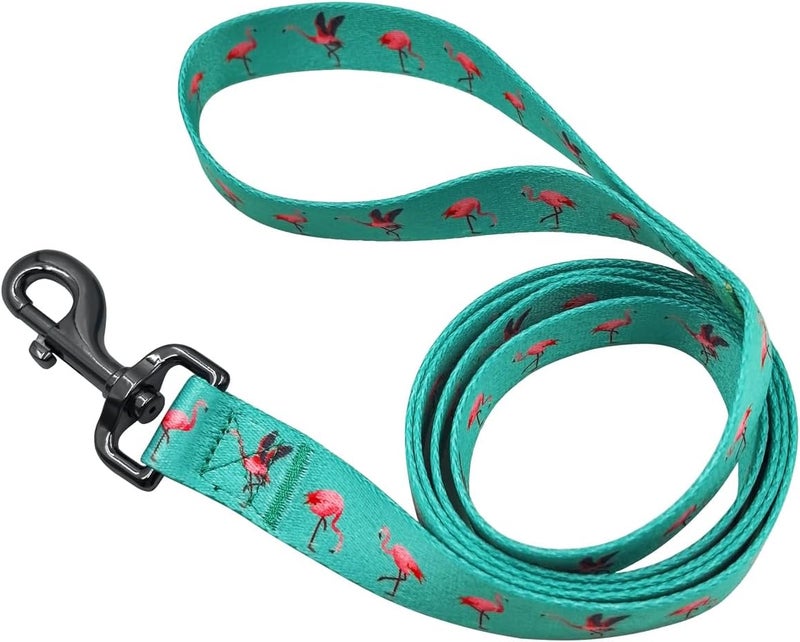 Ovale Dog Collar and Leash Set, Polyester Webbing with Flamingo Pattern, 4 (Green Flamingo, Extra Small) - Image 5