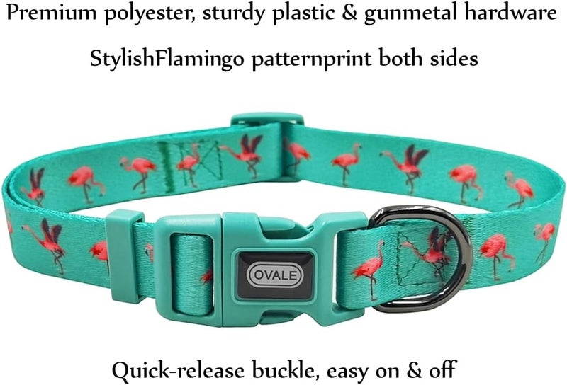 Ovale Dog Collar and Leash Set, Polyester Webbing with Flamingo Pattern, 4 (Green Flamingo, Extra Small) - Image 2