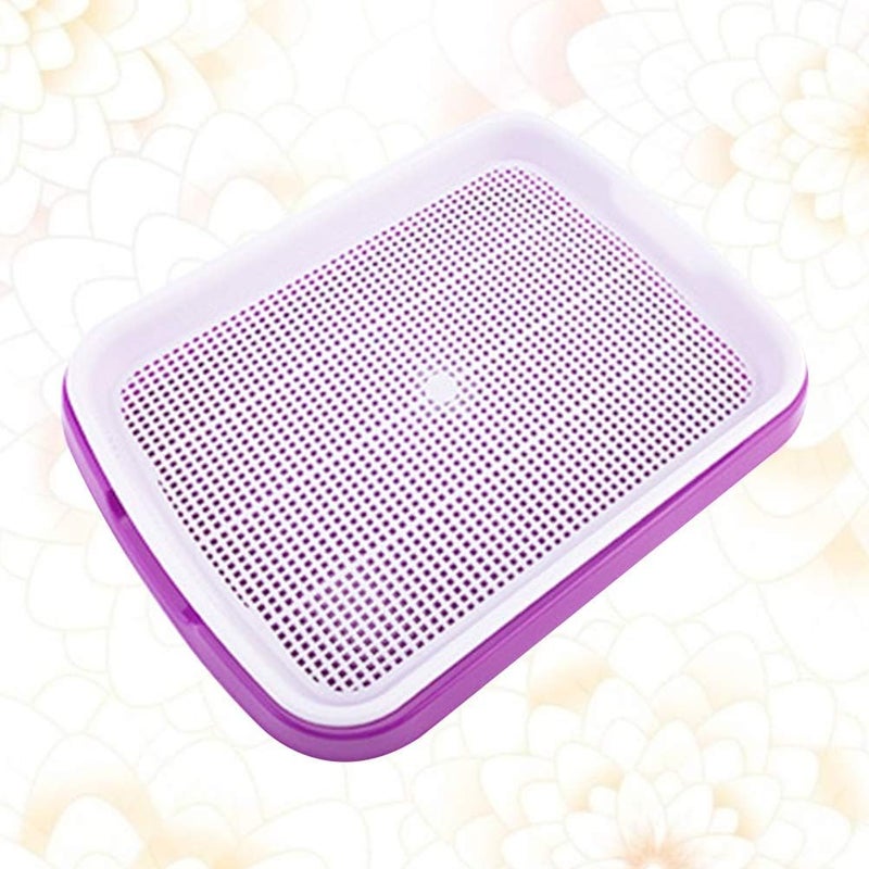 woobles Seed Sprouter Tray Soil-Free Food Grade PP Healthy Wheatgrass Grower-35x26x5cm(Purple) Purple - Image 3