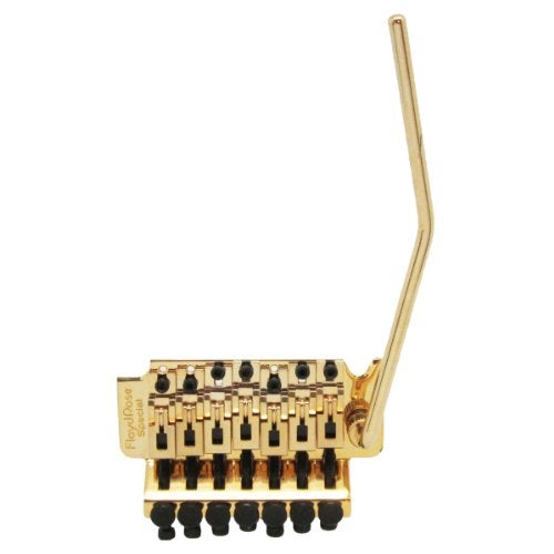 Floyd Rose فلويد روز تريمولو (FRT-SSS3000) - Image 1