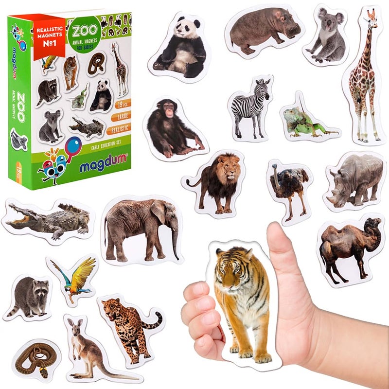 magdum 19 Fridge Magnets for Toddlers Zoo Animal Magnets for Refrigerator Real Zoo Animal Magnets for Children Big Realistic Magnets for Kids Learning Toy Set Baby Educational Gift - Image 3