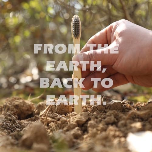 Isshah Biodegradable Eco-Friendly Natural Bamboo Charcoal Toothbrushes, FSC Certified and PETA Approved - 12 Count - Image 4