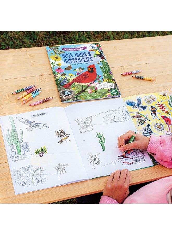 eeBoo: Learn to Draw - Bugs, Birds & Butterflies - 32 Page Activity Book & 50 Stickers Set, Fun Nature-Themed Step-by-Step Drawing & Coloring, Kids 5+ - Image 4