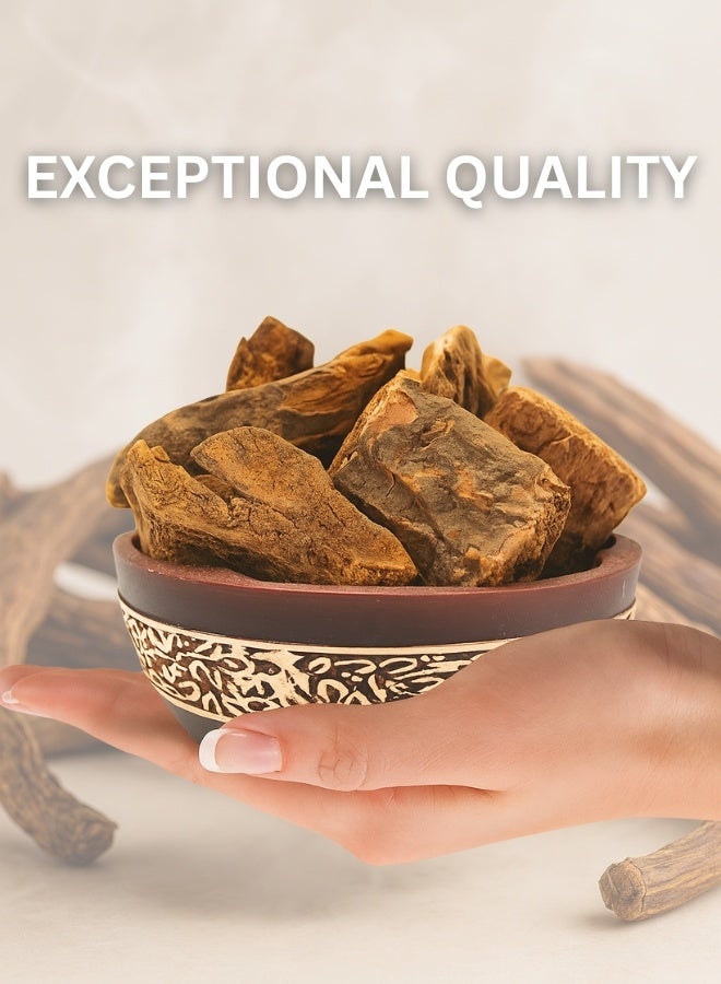 زهر الزهر ريڤانشيني لاكدي - جذر راوند مجفف فاخر | خشب عشبي نقي ١٠٠٪، مُفرز يدويًا، عالي الجودة للاستخدام في البستنة والطهي والصحة - Image 3