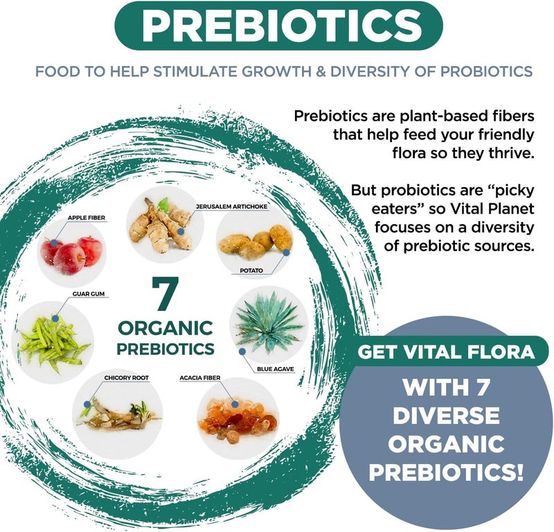 Vital Planet  Vital Flora Ultra Daily Probiotic 60 Billion CFU 60 Diverse Strains 7 Organic Prebiotics Immune Support Digestive Health Shelf Stable Probiotics for Women and Men 30 Capsules - Image 5