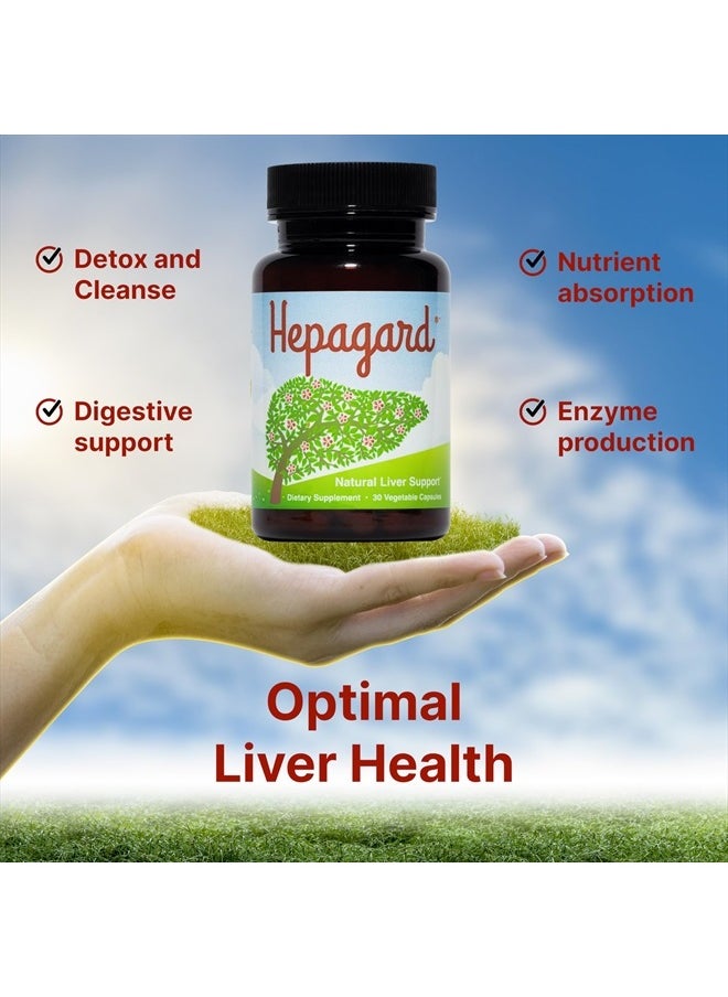 Hepagard Natural Liver Support Supplement Capsule with N-Acetyl Cysteine (NAC) - Non-GMO, Gluten-Free  - Image 2