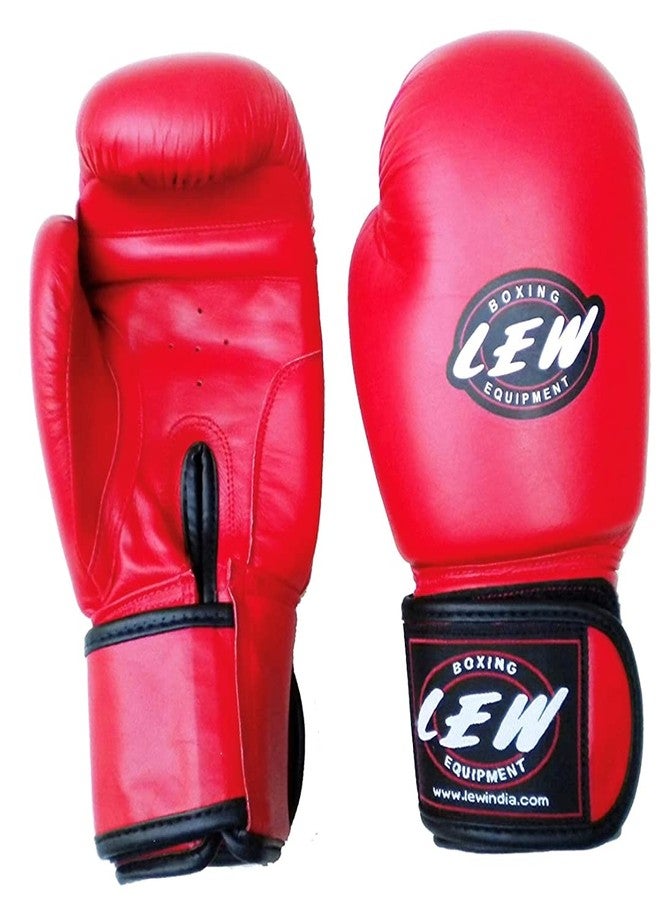 LEW Competition/Safe Pro Fight Boxing Gloves - Image 1
