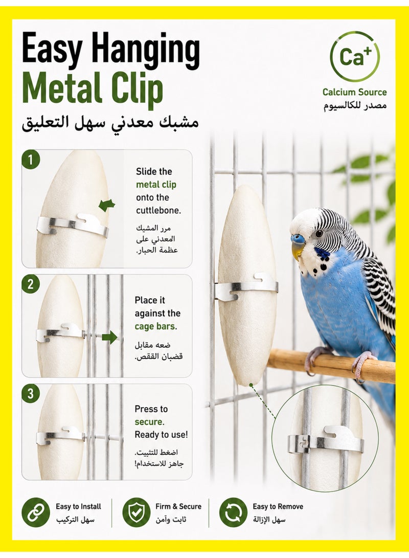 Winigolfe 2PCS Natural Cuttlefish Bone Rich In Calcium For Birds - Image 5