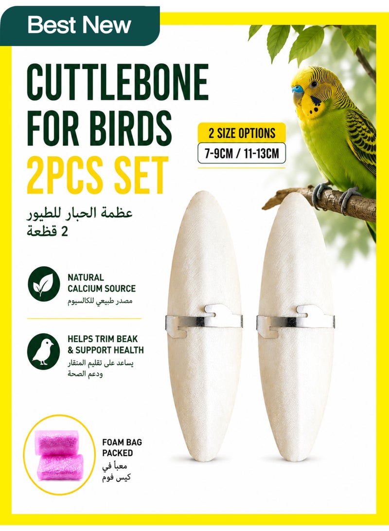 Winigolfe 2PCS Natural Cuttlefish Bone Rich In Calcium For Birds - Image 1