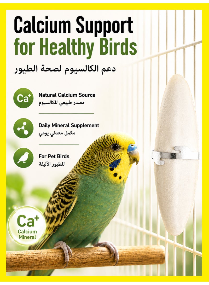 Winigolfe 2PCS Natural Cuttlefish Bone Rich In Calcium For Birds - Image 2