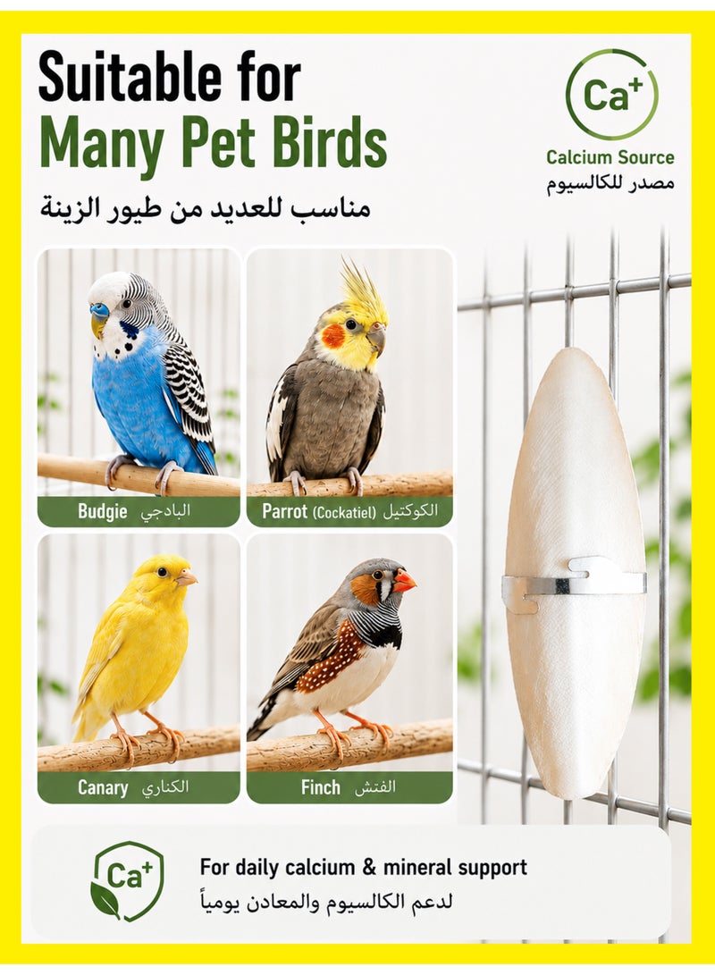 Winigolfe 2PCS Natural Cuttlefish Bone Rich In Calcium For Birds - Image 4