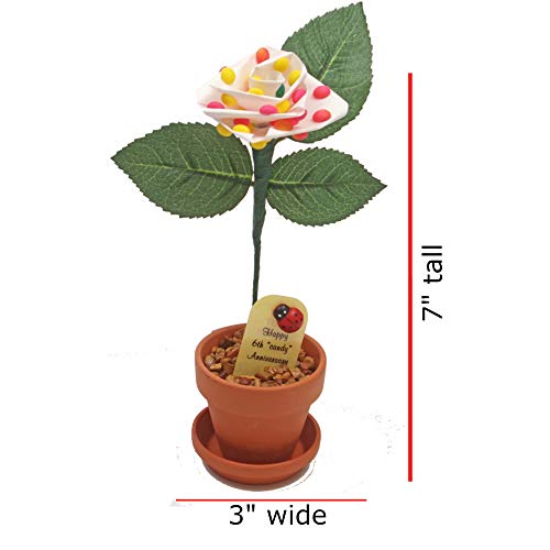 JustPaperRoses - 6th Wedding Anniversary Candy Rose - Multicolor - 7-inch Desk Décor - Single Rose in Terra Cotta Pot - Romantic Gift for Her - Image 3