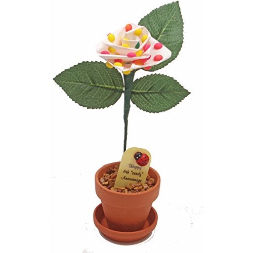 JustPaperRoses - 6th Wedding Anniversary Candy Rose - Multicolor - 7-inch Desk Décor - Single Rose in Terra Cotta Pot - Romantic Gift for Her - Image 1