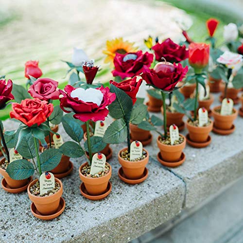 JustPaperRoses - 6th Wedding Anniversary Candy Rose - Multicolor - 7-inch Desk Décor - Single Rose in Terra Cotta Pot - Romantic Gift for Her - Image 5