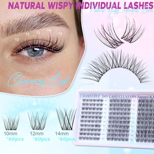 zanlufly Lash Clusters Wispy Eyelash Clusters Natural CC-Curly Cluster Lashes zanlufly Wispy Individual Lashes 180Pcs Eyelash Extension 10 12 14MM DIY Lash Extension - Image 2