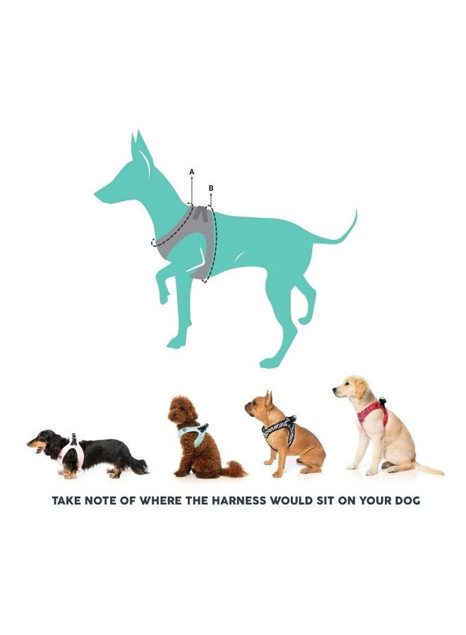 FuzzYard Hey There Sweetie Cupcake Step in Harness Vest for Dogs (Large) - Image 5