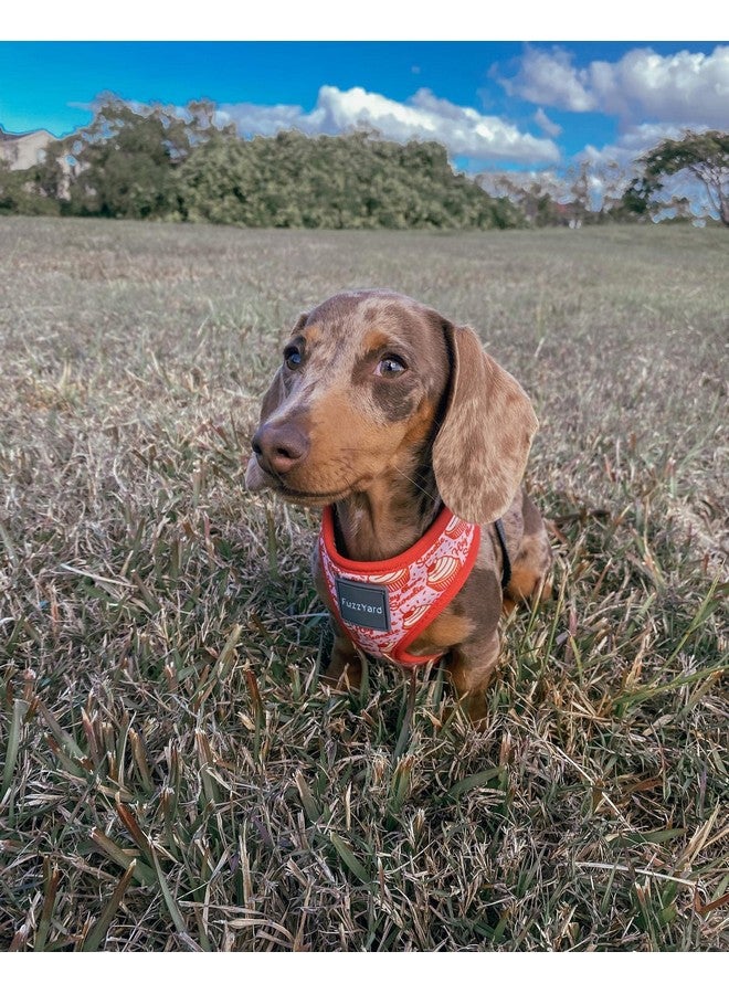 FuzzYard Hey There Sweetie Cupcake Step in Harness Vest for Dogs (Large) - Image 4