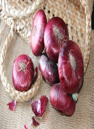 100 Pcs Onion Seeds Garden Essential Vegetable Seeds Rare Varieties of Gardening Seeds Loved by Gardeners - pzsku/Z8F99EFB08361A304551AZ/45/_/1734622134/dc453e64-44c2-4776-9901-f70ac72dc2cc