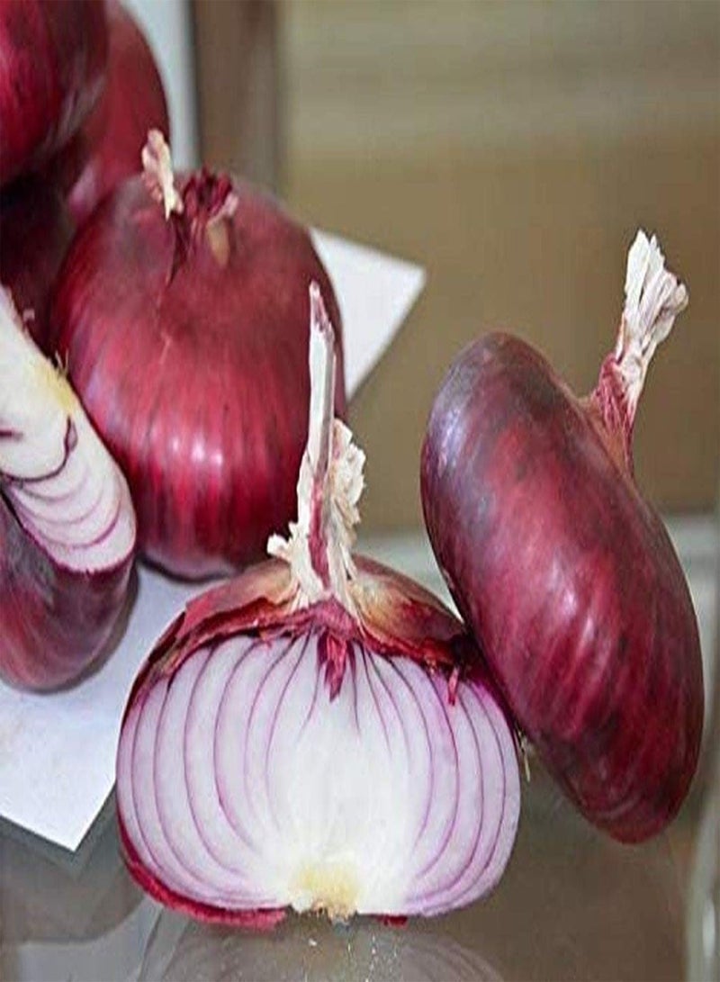 100 Pcs Onion Seeds Garden Essential Vegetable Seeds Rare Varieties of Gardening Seeds Loved by Gardeners