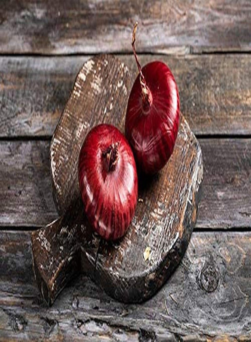 100 Pcs Onion Seeds Garden Essential Vegetable Seeds Rare Varieties of Gardening Seeds Loved by Gardeners