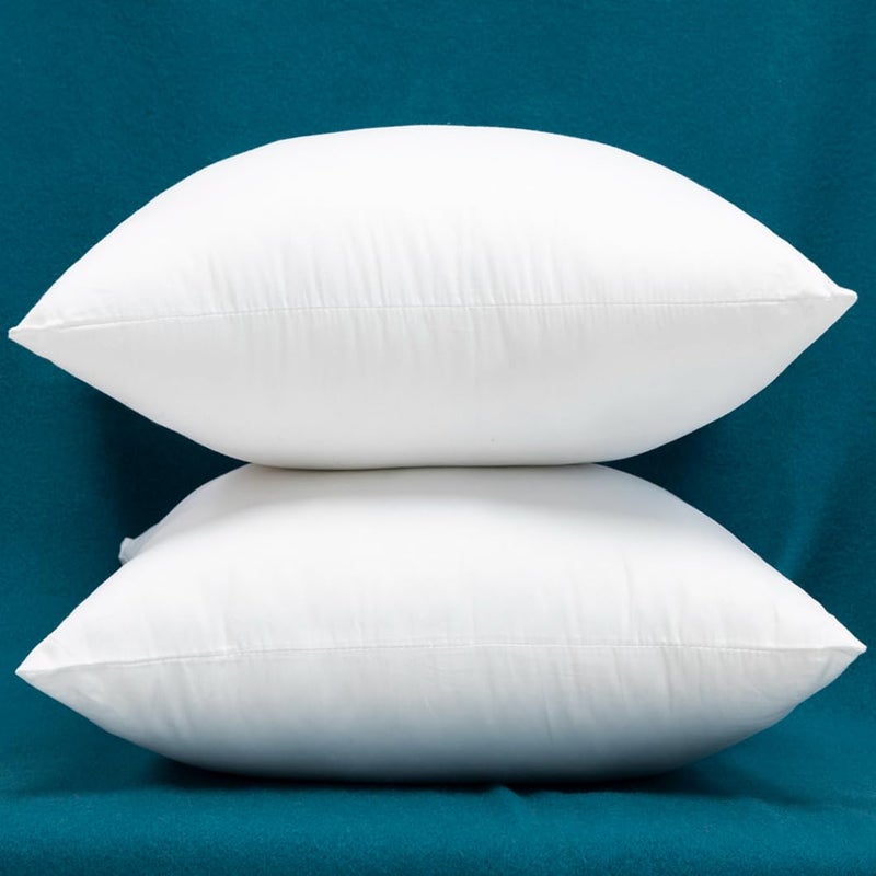 Warmwithann Set of 2 100 Cotton Fabric Plump Throw Pillow Inserts Down Alternative Decorative Couch Pillow Inserts 20 X 20 Inches