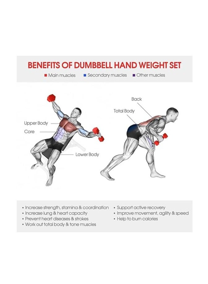 في سبورت دمبل حديد مطلي بالفينيل بوزن 2 كجم ، مجموعه من قطعتين ، من في سبورت - Image 3