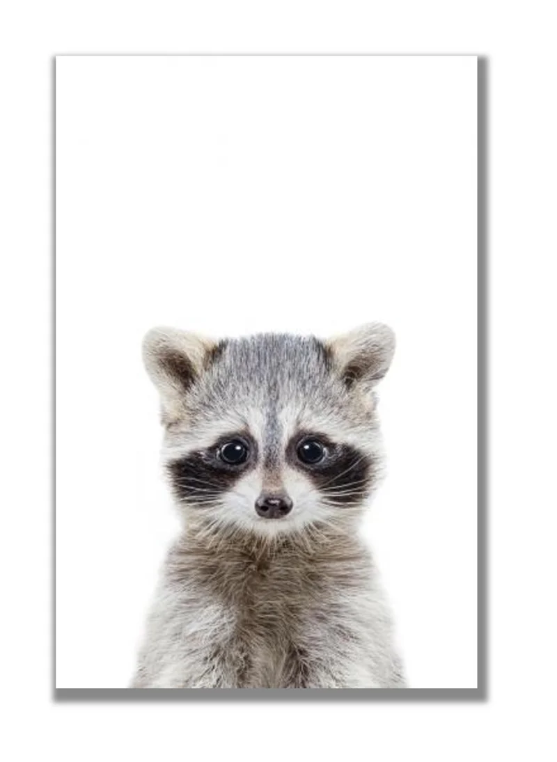 Drawdeck Baby Racoon