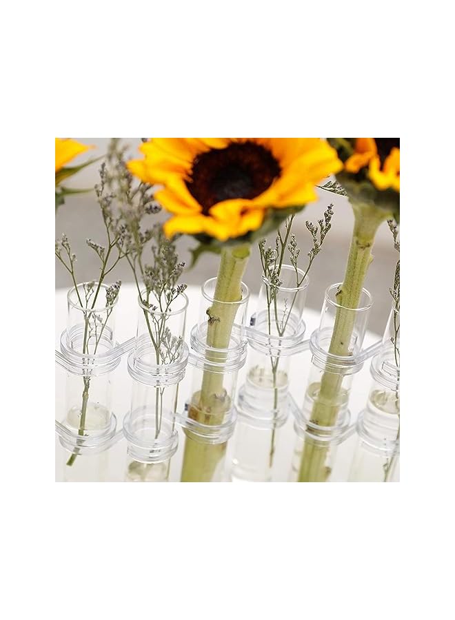 The Bros Crystal Glass Test Tube Vase Flower Pots Desktop Plant Terrarium DIY 8 Hydroponic Plants Home Garden Decoration with Brush 15x2.2cm - Image 4
