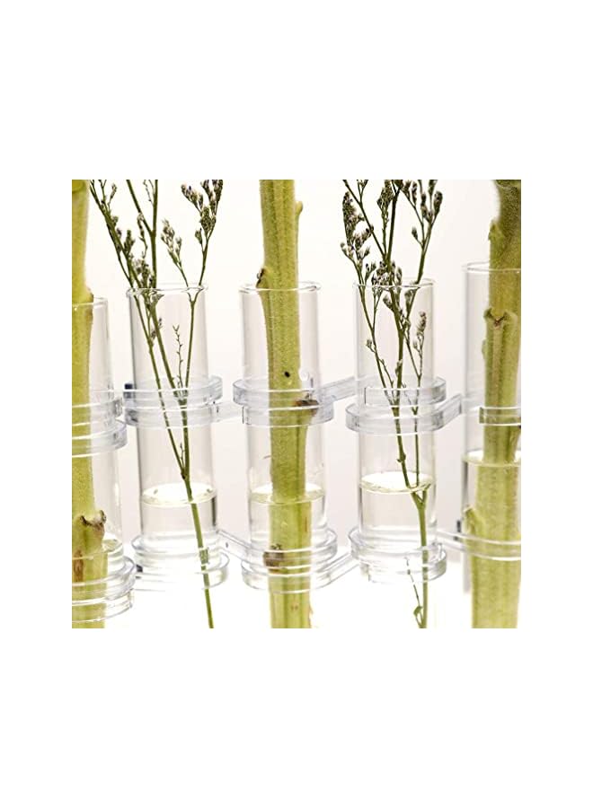 The Bros Crystal Glass Test Tube Vase Flower Pots Desktop Plant Terrarium DIY 8 Hydroponic Plants Home Garden Decoration with Brush 15x2.2cm - Image 5