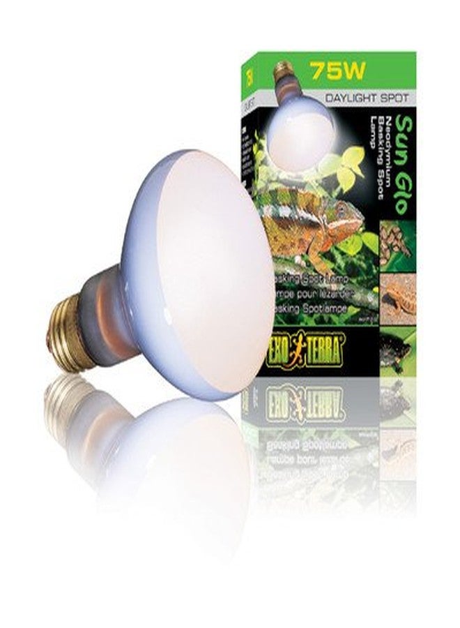Exo Terra Daylight Basking Spot Lamp, 75w