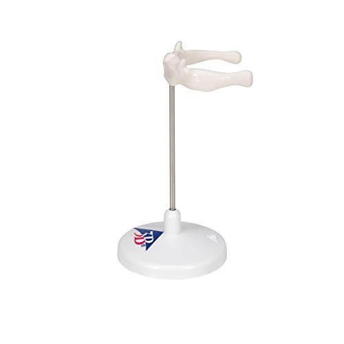 3B Scientific A71/9 Hyoid Bone on stand - 3B Smart Anatomy - Image 5