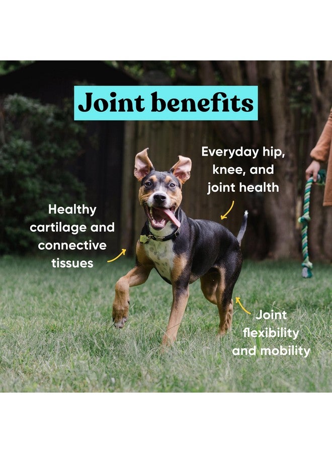 مكمل غذائي للمفاصل من إمبارك للكلاب - جلوكوزامين، كوندرويتين، مكمل غذائي للورك والمفاصل، يدعم صحة المفاصل - تركيبة بيطرية بمكونات طبيعية بالكامل - 90 قطعة مضغ ناعمة للكلاب من السلالات الصغيرة والكبيرة - Image 3
