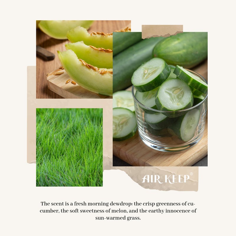 Airkeep Reed Diffuser Set,3.38 fl oz (100 ml) - Cucumber Melon Oil Diffusers with 8 Reed Sticks, Home Fragrance Reed Diffuser for Bathroom Shelf Decor - Image 2