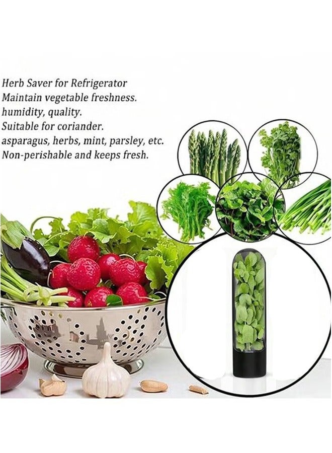 GMORO Herb Saver for Refrigerator, Herb Saver Pod, Vegetable Preservation Bottle, Fresh Herb Keeper for Cilantro, Mint, Parsley, Keeps Greens Fresh for 2-3 Weeks - Image 2