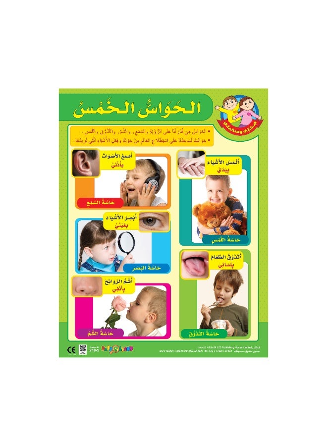 123 Publishing House The 5 Senses - Wall Chart in Arabic - Image 1