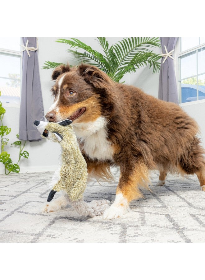 SPOT Skinneeez Stuffless Dog Toy with Squeaker | Plush Tug of War Raccoon Squeak Toy for Small and Large Dog Breeds | Large - Image 4
