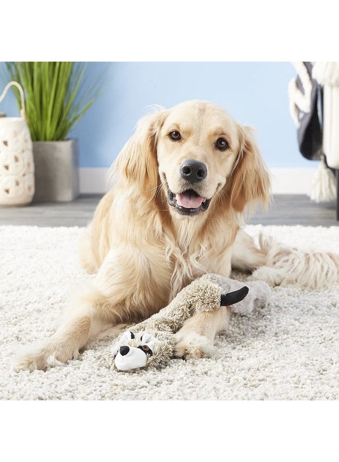 SPOT Skinneeez Stuffless Dog Toy with Squeaker | Plush Tug of War Raccoon Squeak Toy for Small and Large Dog Breeds | Large - Image 2