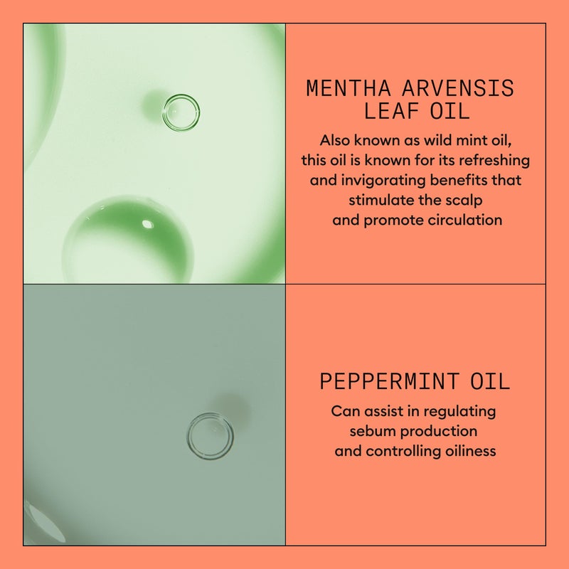 Nioxin نظام نيوكسين 4 بلسم لفروة الرأس والشعر | للشعر الملون أو التالف مع تساقط متقدم | مع النياسيناميد والبيوتين | 33.8 أونصة سائلة. - Image 5