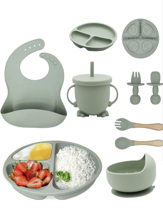 Richtots Premium Silicone Baby Feeding Set, Complete 8-Piece Baby Led Weaning Set | Baby Feeding Product,Suction Plate, Bowl,Cup, 2 Spoon, 2 Fork and Bib for Baby Sky Blue (Green) - Image 5