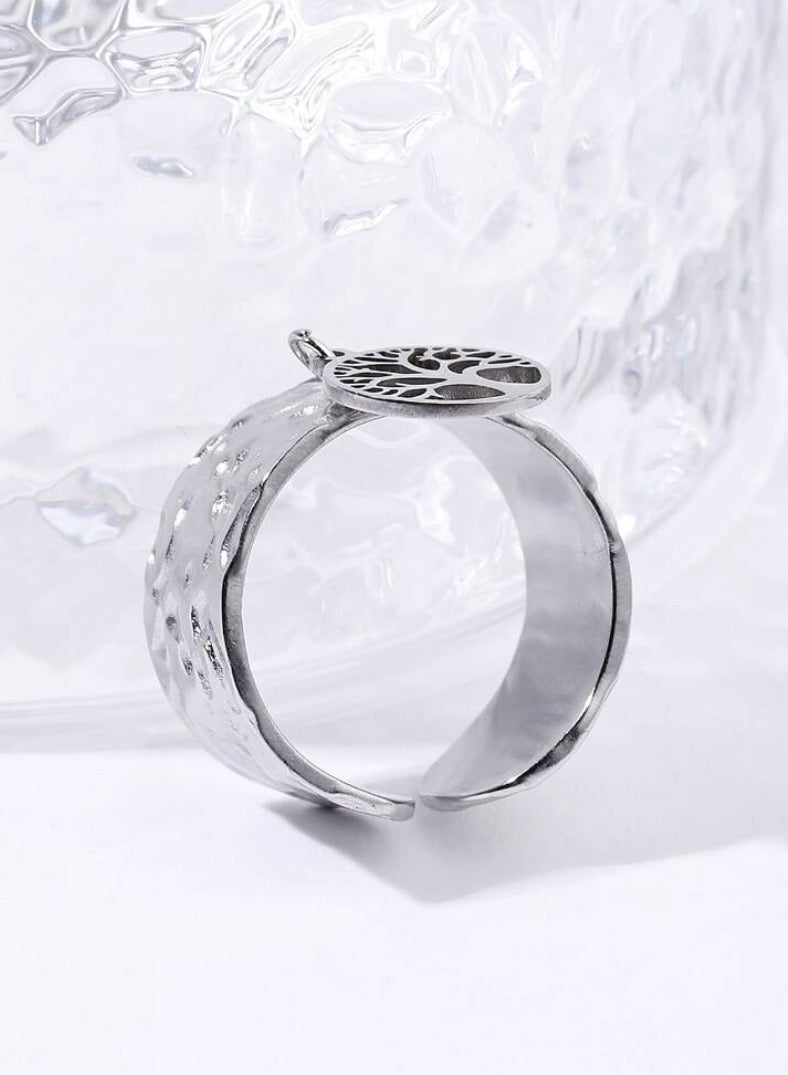 إيكوال خاتم نسائي من الاستانلس ستيل باللون الفضي انيق وعصري بمقاس موحد - Image 2