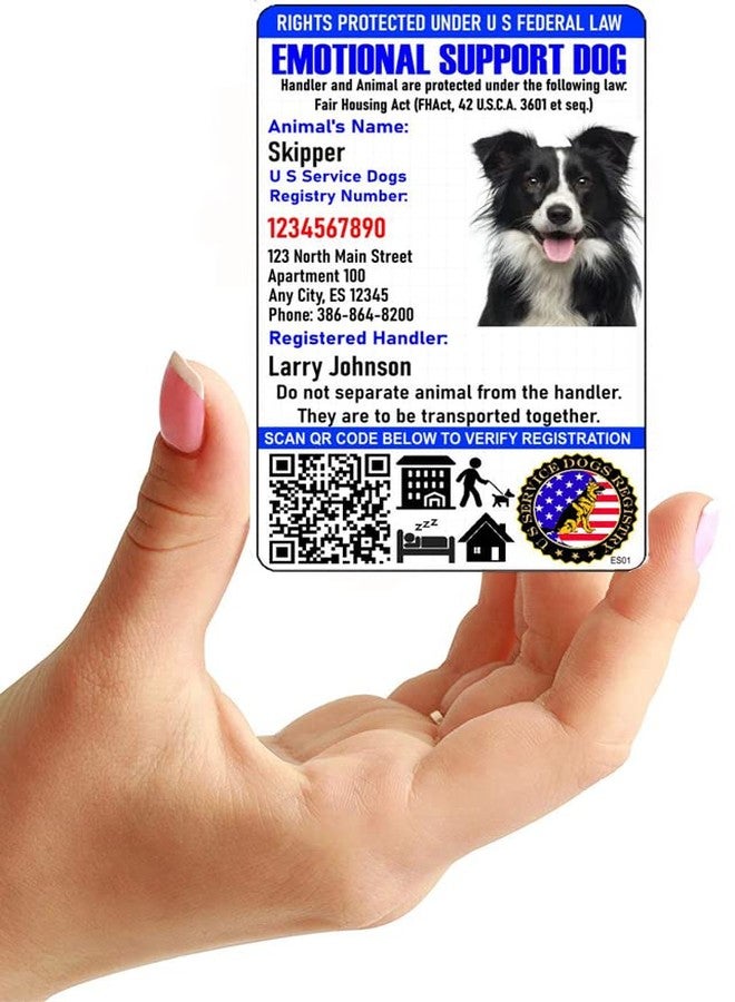 Just 4 Paws Custom Emotional Support ID Card with QR Code & Security Seal and Optional Holograph | Registration to US Service Dogs Registry Plus ID Holder & Digital ID - Portrait Style - Image 4