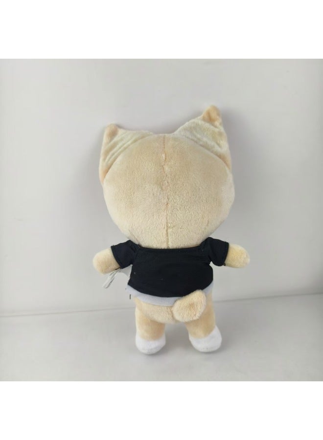 Street Children Doll Grasping Machine Doll Plush Toy Pet Doll Children Gift In Stock-Color:Fox-Height:22cm - Image 1