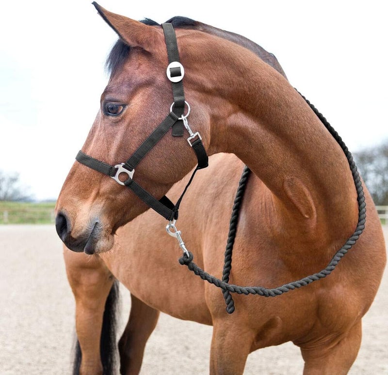 HORZE Basic Cotton 7 Horse Lead Rope  Black  One Size - Image 3